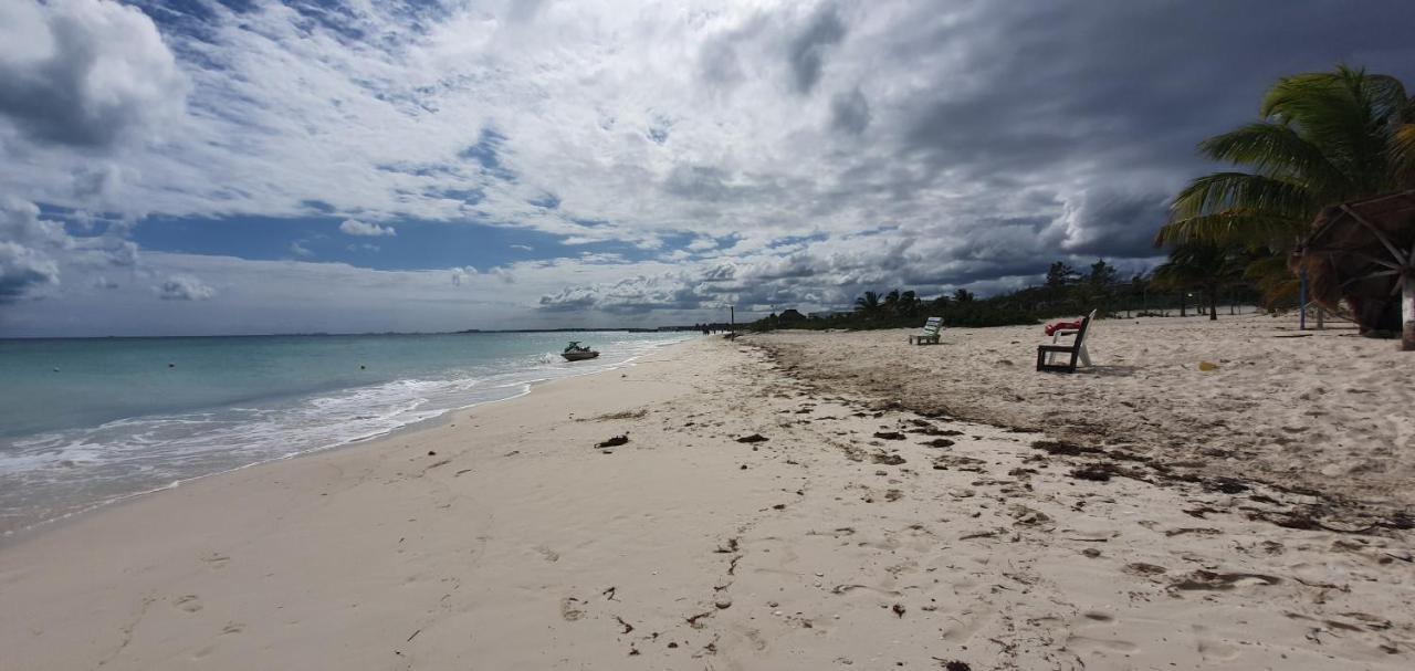 Cancun Amara المظهر الخارجي الصورة